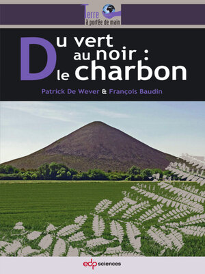 cover image of Du vert au noir